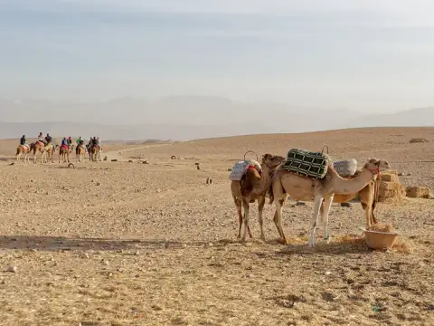 صحراء أكفاي + غروب الشمس