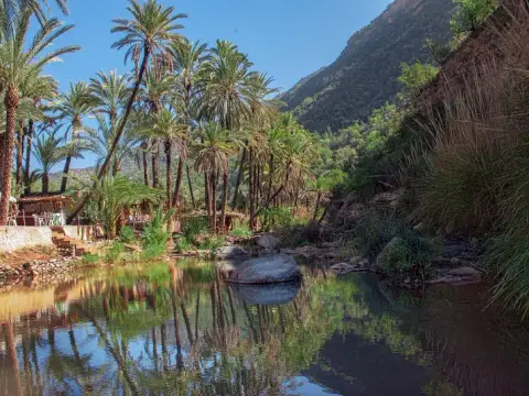 وادي الجنة